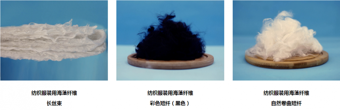 源海科技 | 海藻纤维：天然抑菌阻燃防霉，引领低碳健康生活