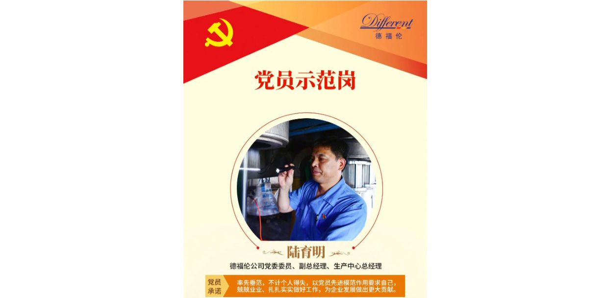榜样在身边 | 德福伦公司“两优一先”“党员示范岗”风采专辑!-上海德福伦新材料科技有限公司